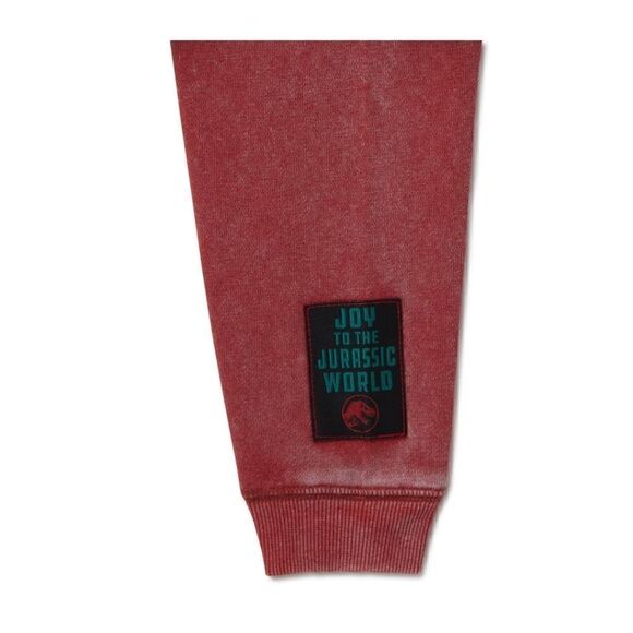 Jurassic Park Toddler Boys Festive Crewneck Sweatshirt - Picture 4 of 10